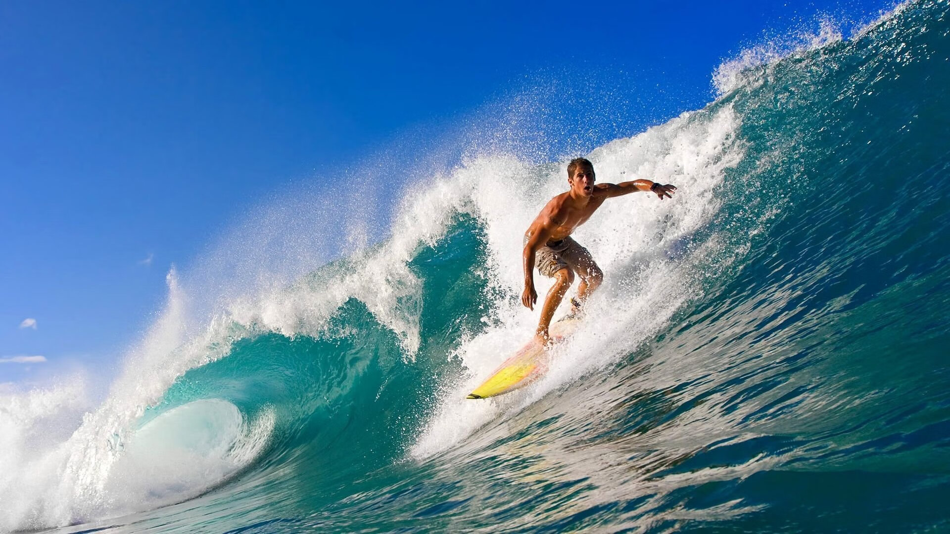 赛事期间的媒体报道亮点集锦，赛事报道怎么写